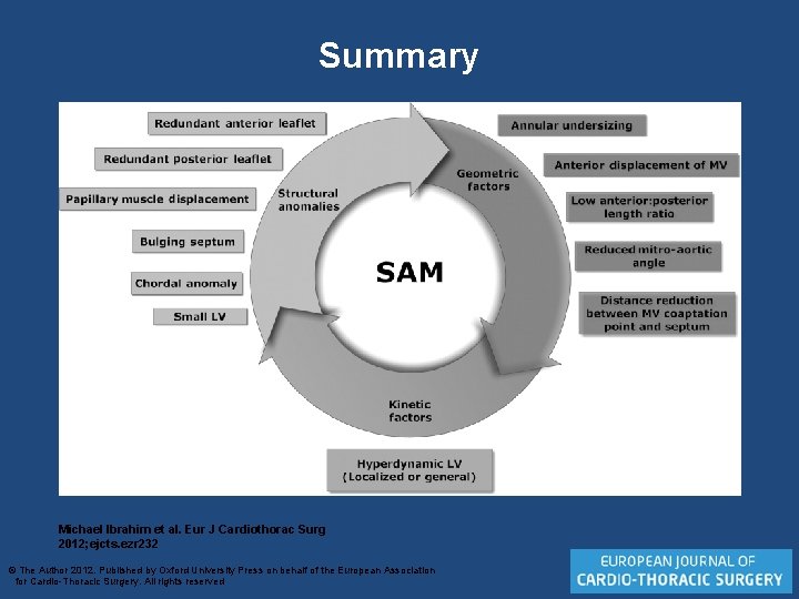 Summary Michael Ibrahim et al. Eur J Cardiothorac Surg 2012; ejcts. ezr 232 ©