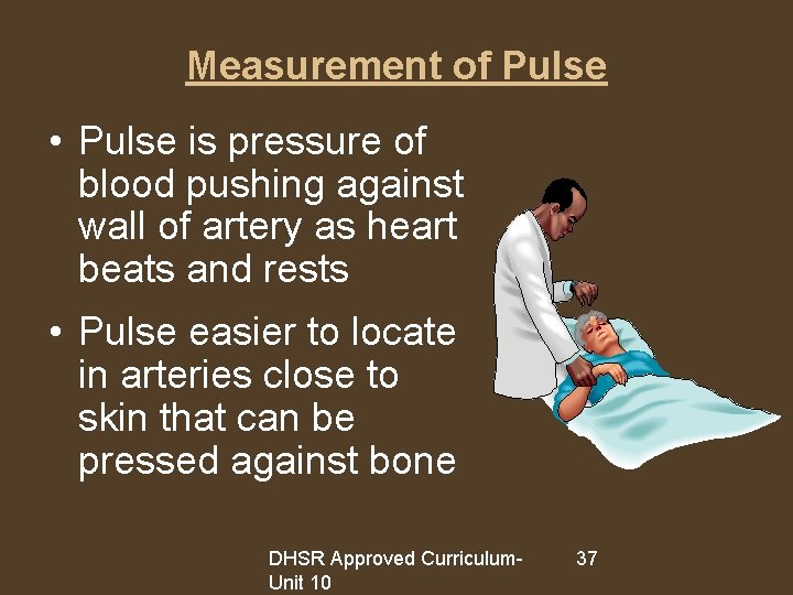 Measurement of Pulse • Pulse is pressure of blood pushing against wall of artery