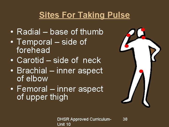 Sites For Taking Pulse • Radial – base of thumb • Temporal – side