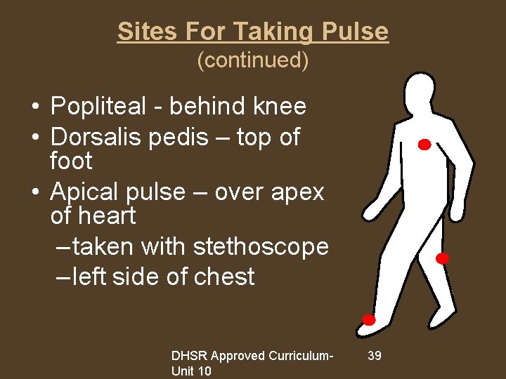 Sites For Taking Pulse (continued) • Popliteal - behind knee • Dorsalis pedis –