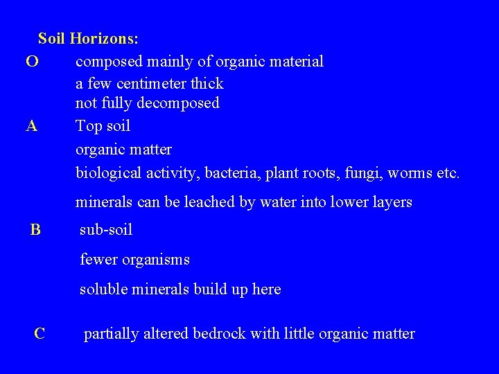 Soil Horizons: O composed mainly of organic material a few centimeter thick not fully