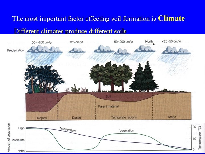 The most important factor effecting soil formation is Climate Different climates produce different soils