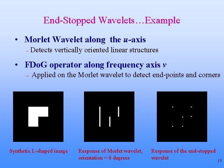 End-Stopped Wavelets…Example • Morlet Wavelet along the u-axis – Detects vertically oriented linear structures End-Stopped Wavelets…Example • Morlet Wavelet along the u-axis – Detects vertically oriented linear structures