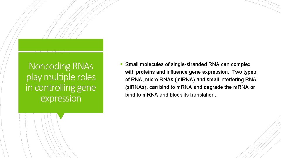 Noncoding RNAs play multiple roles in controlling gene expression § Small molecules of single-stranded