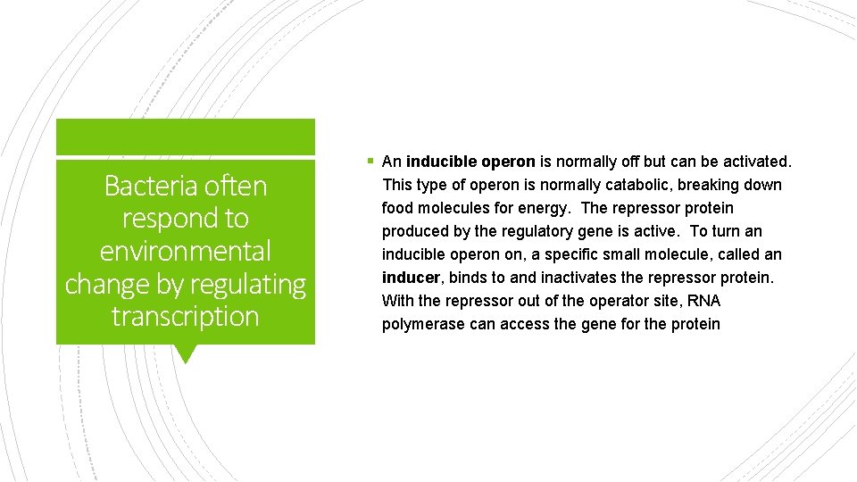 Bacteria often respond to environmental change by regulating transcription § An inducible operon is