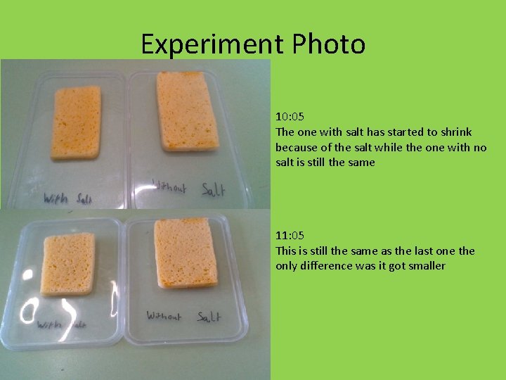 Experiment Photo 10: 05 The one with salt has started to shrink because of