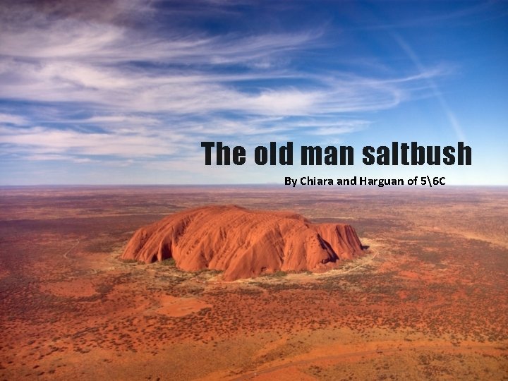 The old man saltbush By Chiara and Harguan of 56 C 