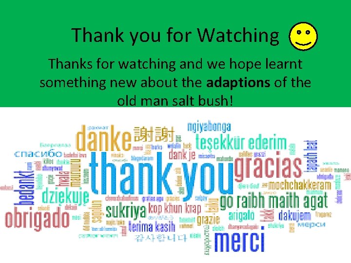 Thank you for Watching Thanks for watching and we hope learnt something new about