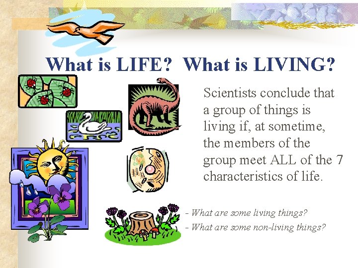 What is LIFE? What is LIVING? Scientists conclude that a group of things is What is LIFE? What is LIVING? Scientists conclude that a group of things is