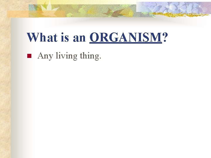 What is an ORGANISM? n Any living thing. What is an ORGANISM? n Any living thing.