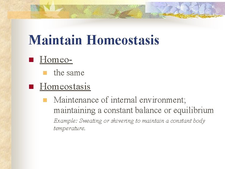 Maintain Homeostasis n Homeon n the same Homeostasis n Maintenance of internal environment; maintaining Maintain Homeostasis n Homeon n the same Homeostasis n Maintenance of internal environment; maintaining