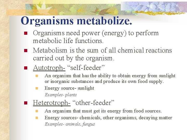 Organisms metabolize. n n n Organisms need power (energy) to perform metabolic life functions. Organisms metabolize. n n n Organisms need power (energy) to perform metabolic life functions.