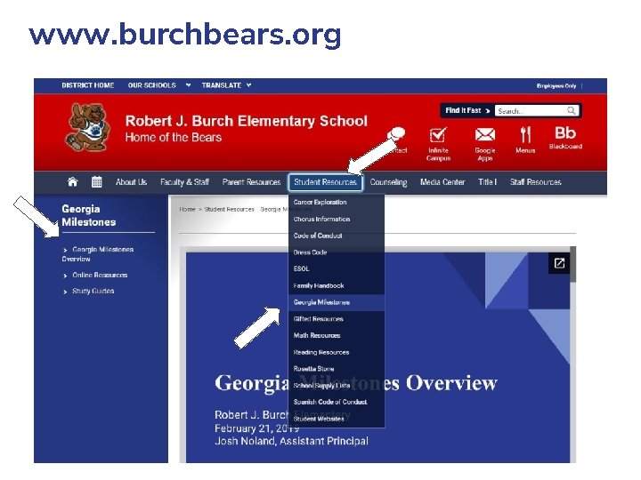 www. burchbears. org 