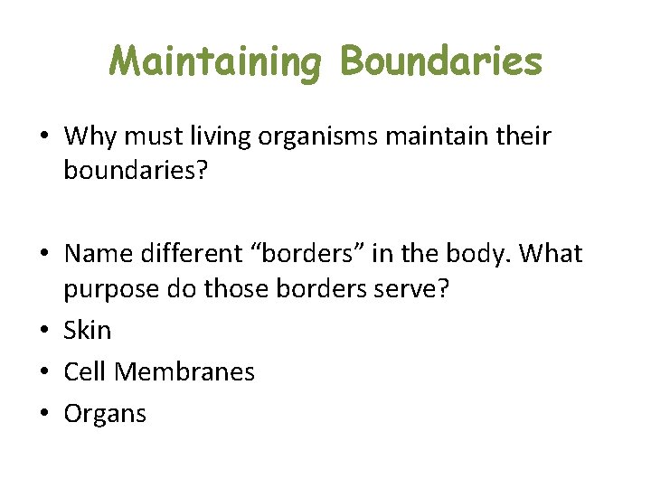 Maintaining Boundaries • Why must living organisms maintain their boundaries? • Name different “borders” Maintaining Boundaries • Why must living organisms maintain their boundaries? • Name different “borders”