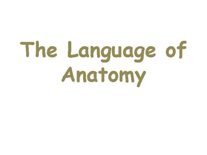 The Language of Anatomy  The Language of Anatomy