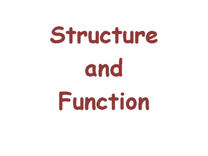 Structure and Function  Structure and Function