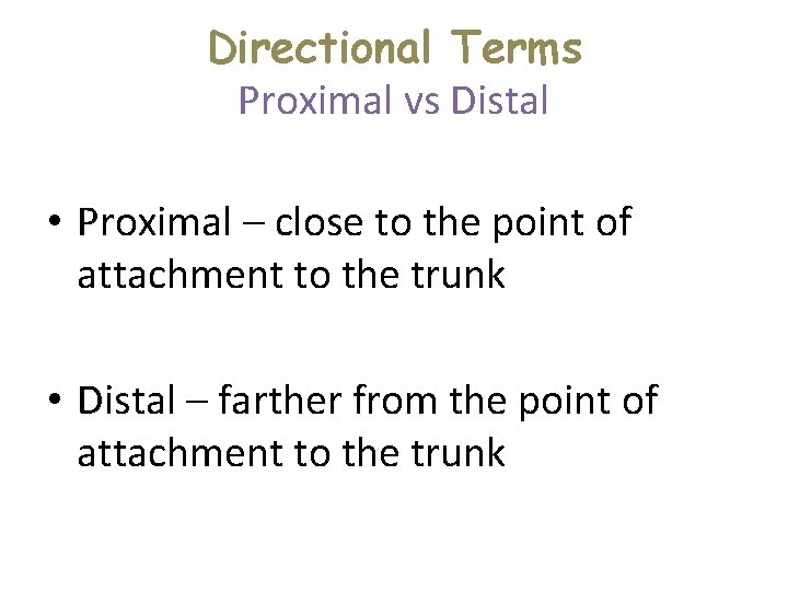 Directional Terms Proximal vs Distal • Proximal – close to the point of attachment Directional Terms Proximal vs Distal • Proximal – close to the point of attachment