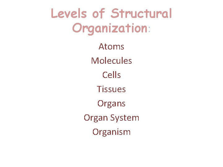Levels of Structural Organization: Atoms Molecules Cells Tissues Organ System Organism  Levels of Structural Organization: Atoms Molecules Cells Tissues Organ System Organism