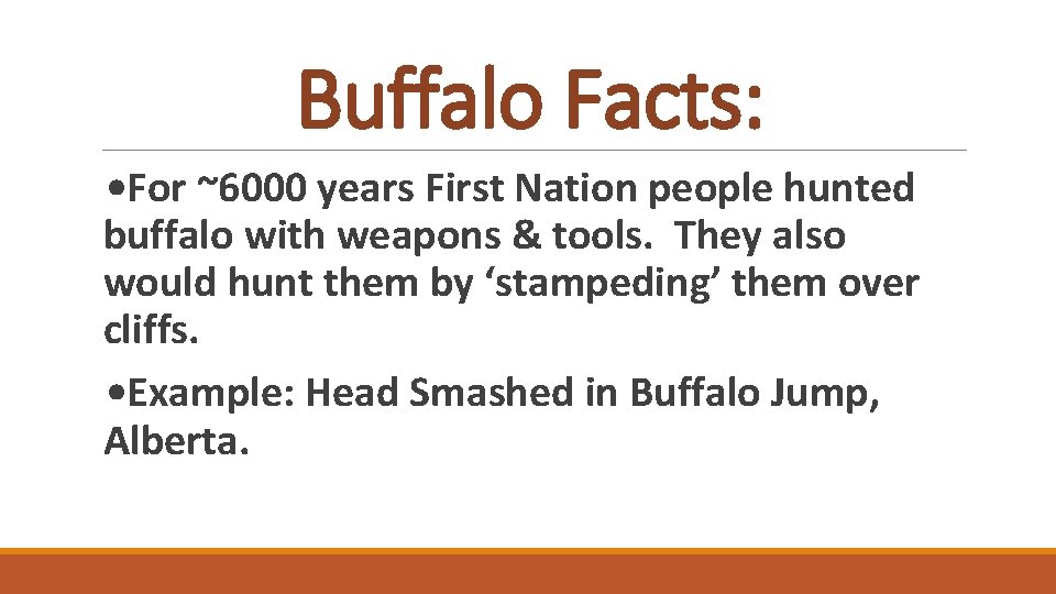 Buffalo Facts: • For ~6000 years First Nation people hunted buffalo with weapons &