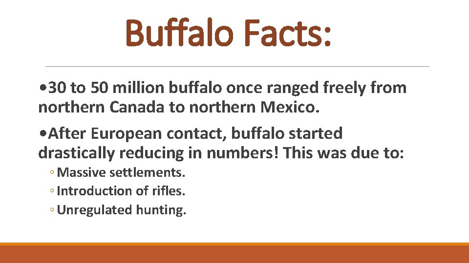 Buffalo Facts: • 30 to 50 million buffalo once ranged freely from northern Canada
