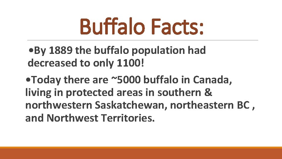 Buffalo Facts: • By 1889 the buffalo population had decreased to only 1100! •