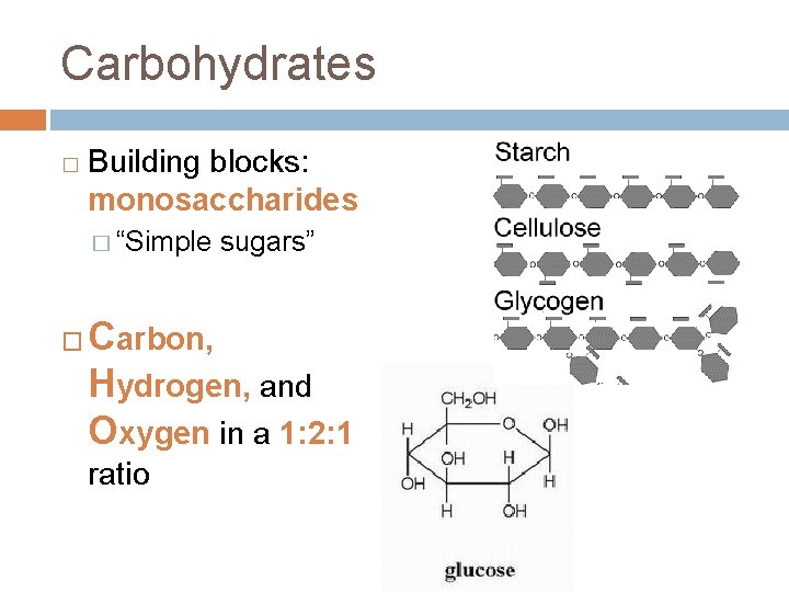 Carbohydrates � Building blocks: monosaccharides � “Simple � sugars” Carbon, Hydrogen, and Oxygen in