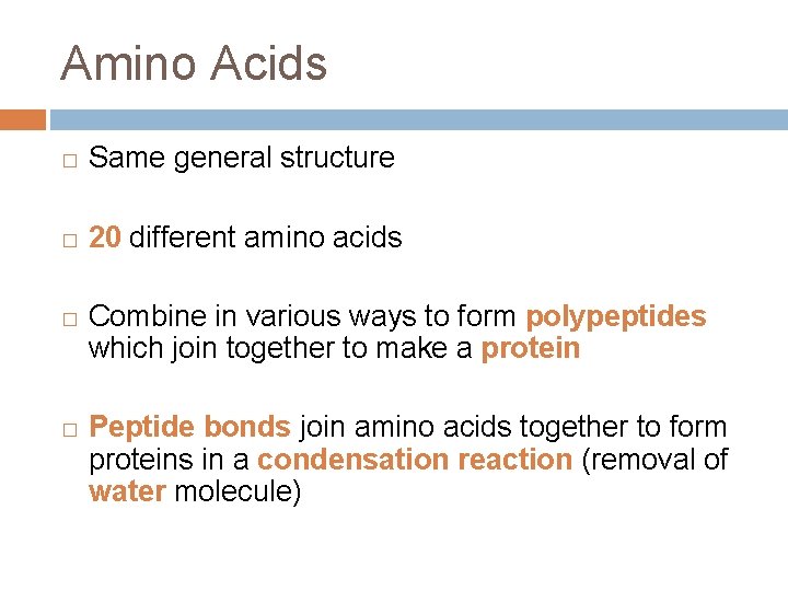 Amino Acids � Same general structure � 20 different amino acids � � Combine