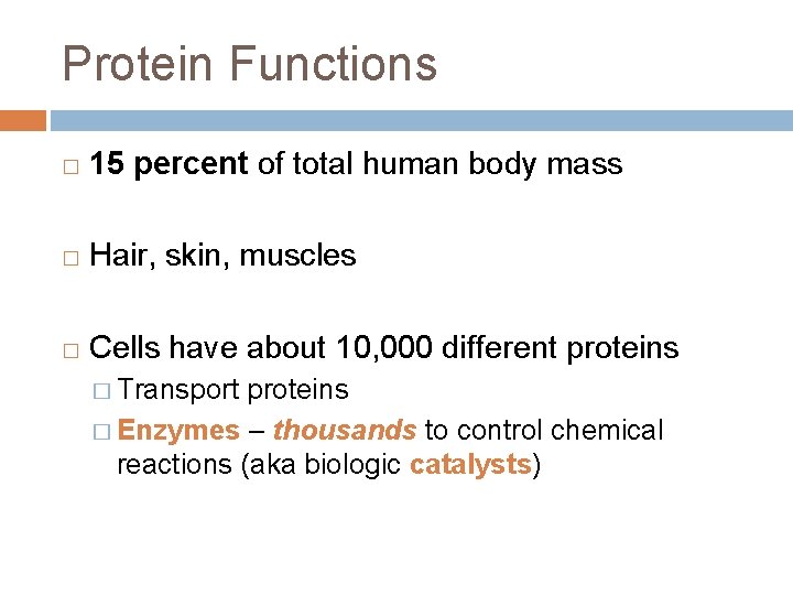 Protein Functions � 15 percent of total human body mass � Hair, skin, muscles