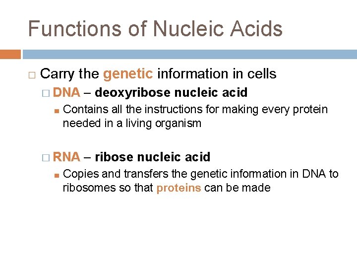 Functions of Nucleic Acids � Carry the genetic information in cells � DNA ■