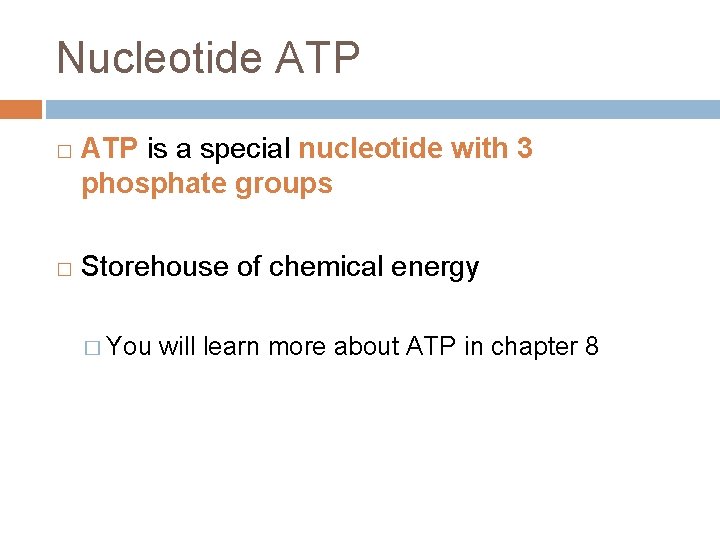 Nucleotide ATP � � ATP is a special nucleotide with 3 phosphate groups Storehouse