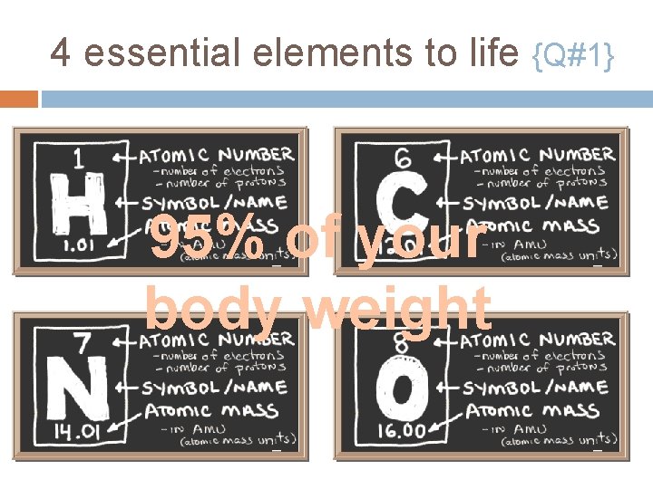 4 essential elements to life {Q#1} 95% of your body weight 