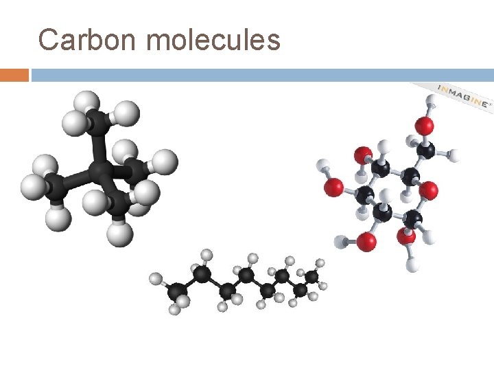 Carbon molecules 