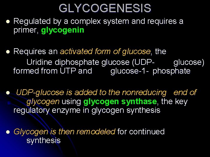 GLYCOGENESIS l Regulated by a complex system and requires a primer, glycogenin l Requires