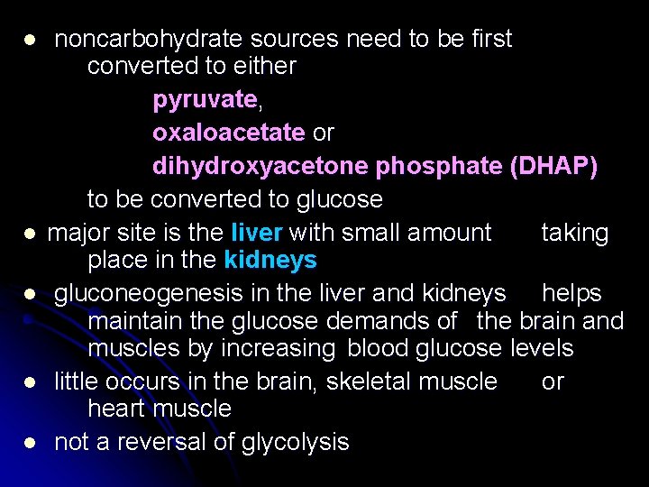 l l l noncarbohydrate sources need to be first converted to either pyruvate, oxaloacetate