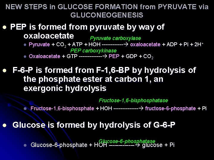 NEW STEPS in GLUCOSE FORMATION from PYRUVATE via GLUCONEOGENESIS l PEP is formed from