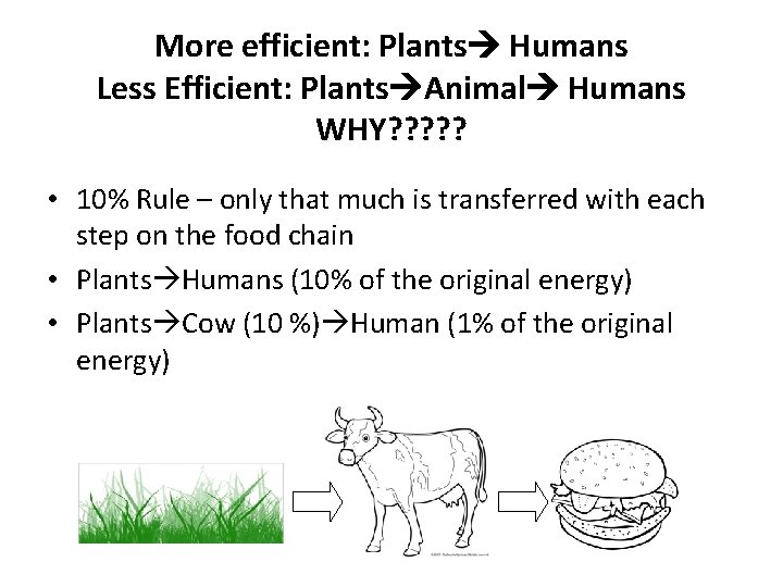 More efficient: Plants Humans Less Efficient: Plants Animal Humans WHY? ? ? • 10%