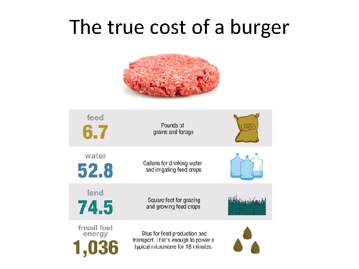 The true cost of a burger 