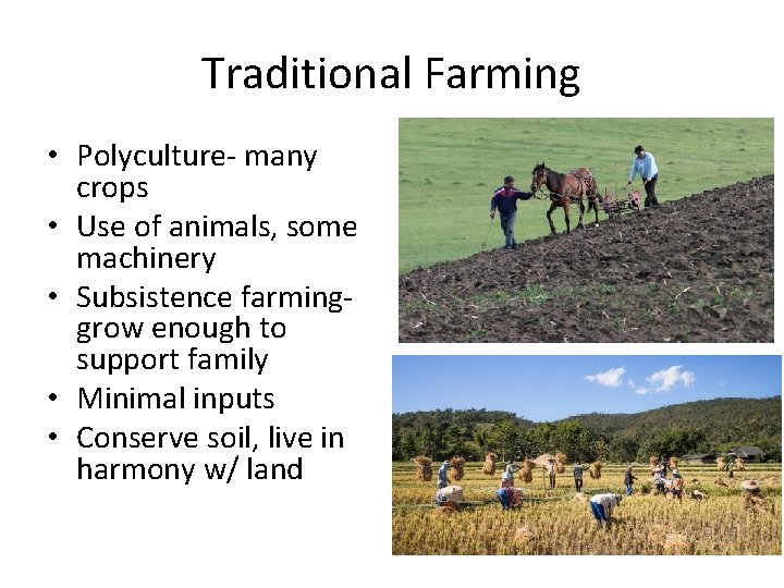 Traditional Farming • Polyculture- many crops • Use of animals, some machinery • Subsistence