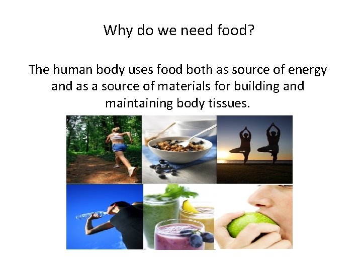Why do we need food? The human body uses food both as source of