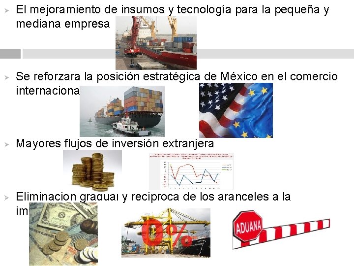 Ø Ø El mejoramiento de insumos y tecnología para la pequeña y mediana empresa