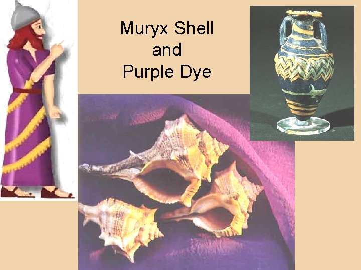 Muryx Shell and Purple Dye 