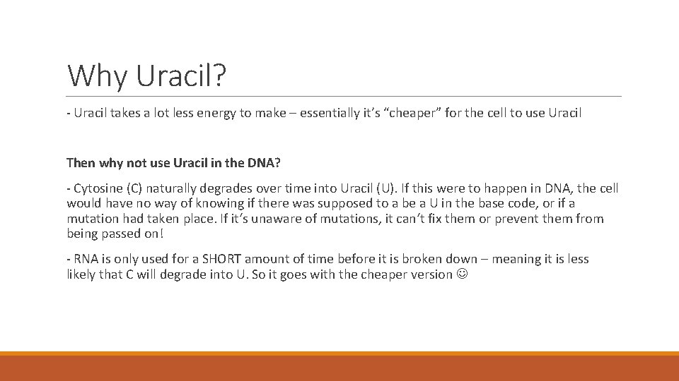 Why Uracil? - Uracil takes a lot less energy to make – essentially it’s
