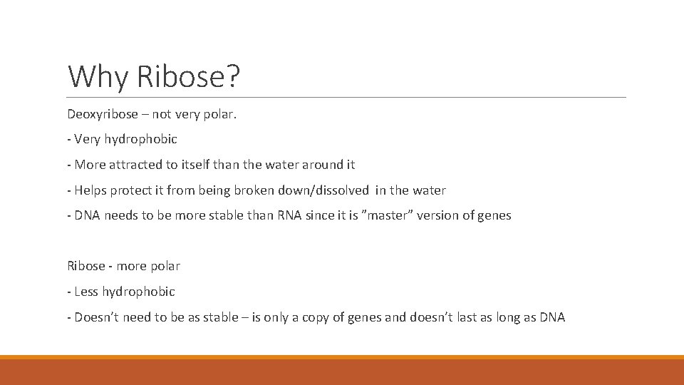 Why Ribose? Deoxyribose – not very polar. - Very hydrophobic - More attracted to
