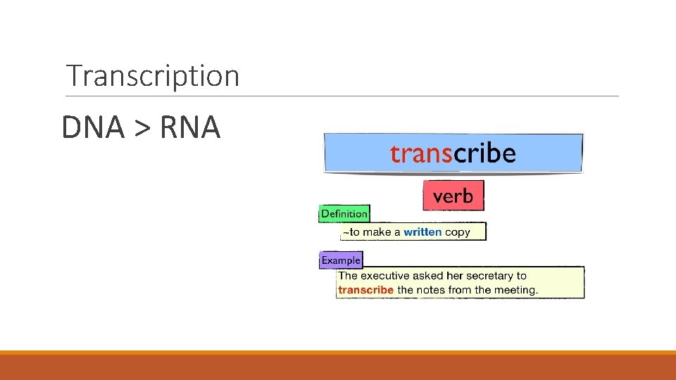 Transcription DNA > RNA 
