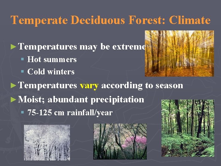Temperate Deciduous Forest: Climate ► Temperatures may be extreme § Hot summers § Cold