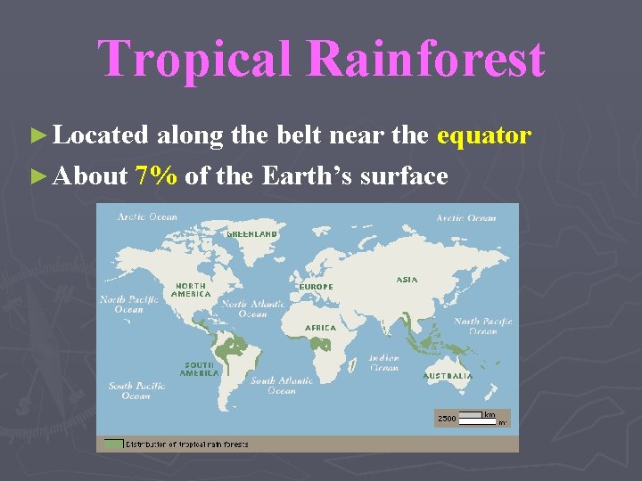 Tropical Rainforest ► Located along the belt near the equator ► About 7% of
