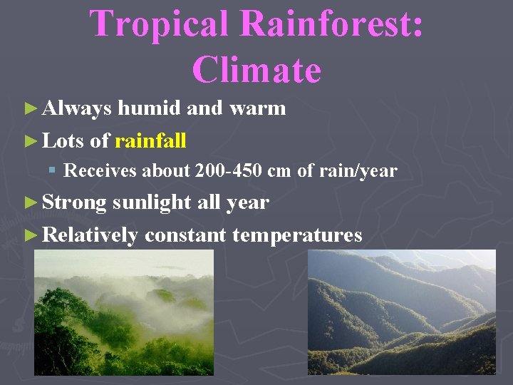 Tropical Rainforest: Climate ► Always humid and warm ► Lots of rainfall § Receives