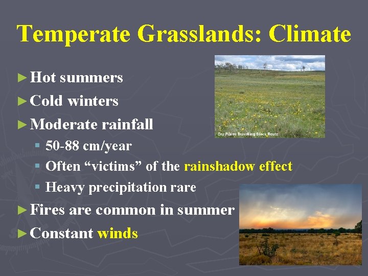 Temperate Grasslands: Climate ► Hot summers ► Cold winters ► Moderate rainfall § 50