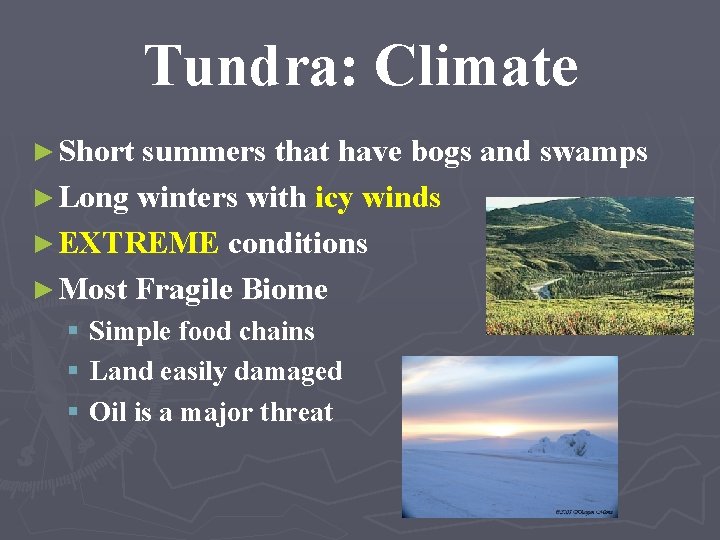 Tundra: Climate ► Short summers that have bogs and swamps ► Long winters with