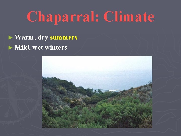Chaparral: Climate ► Warm, dry summers ► Mild, wet winters 